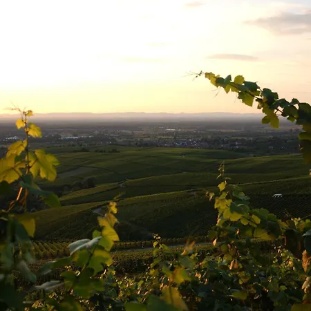 Hotel Haus Rebland Urlaubsglueck-hotel Baden-Baden