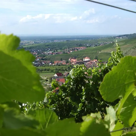 Haus Rebland Urlaubsglueck-hotel * Баден-Баден