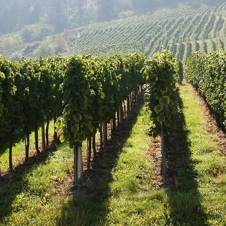 Haus Rebland Urlaubsglueck-hotel