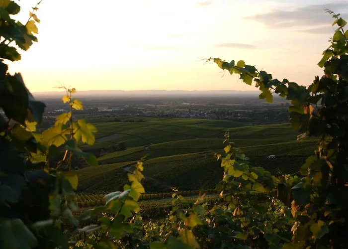 Hotel Haus Rebland Urlaubsglueck-hotel Baden-Baden