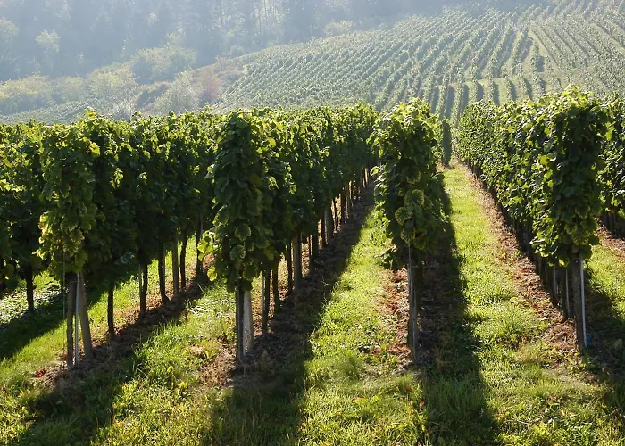 Haus Rebland Urlaubsglueck-hotel